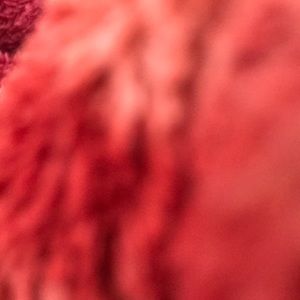 Meet your Posher, Deanna